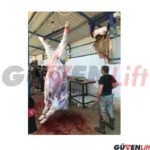 3 Kw Deri Yüzme Makinesi - Görsel 2